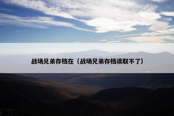战场兄弟存档在（战场兄弟存档读取不了）