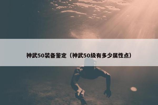 神武50装备鉴定（神武50级有多少属性点）