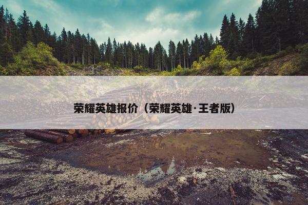 荣耀英雄报价（荣耀英雄·王者版）