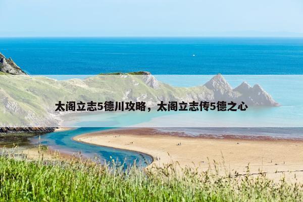 太阁立志5德川攻略，太阁立志传5德之心
