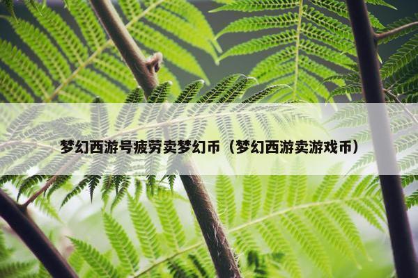 梦幻西游号疲劳卖梦幻币（梦幻西游卖游戏币）