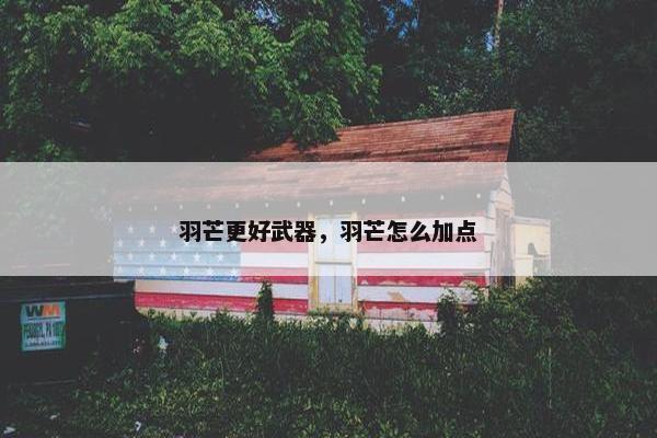 羽芒更好武器，羽芒怎么加点