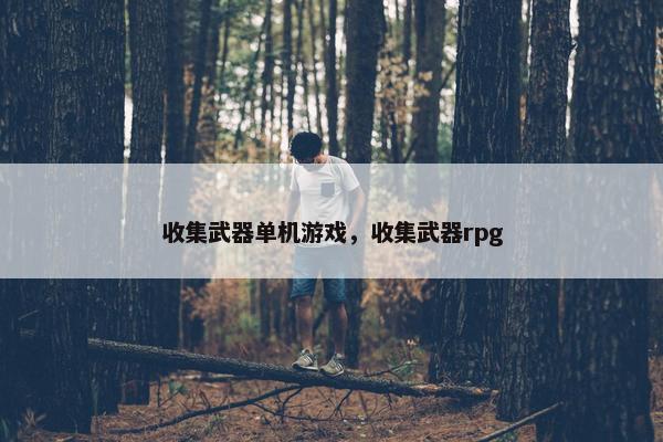 收集武器单机游戏，收集武器rpg