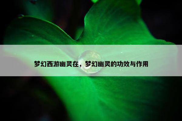 梦幻西游幽灵在，梦幻幽灵的功效与作用