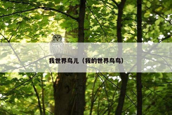 我世界鸟儿（我的世界鸟鸟）