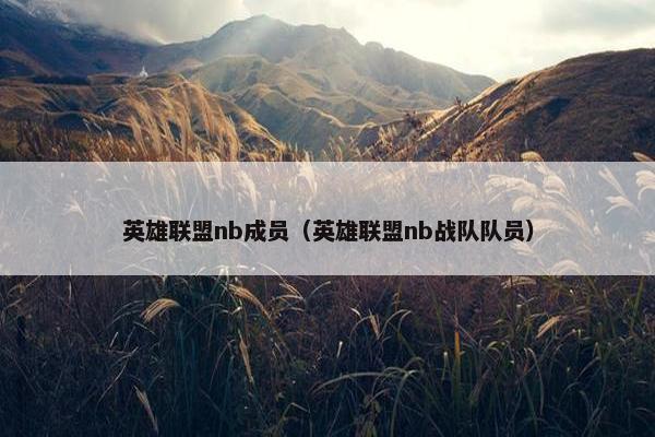 英雄联盟nb成员（英雄联盟nb战队队员）