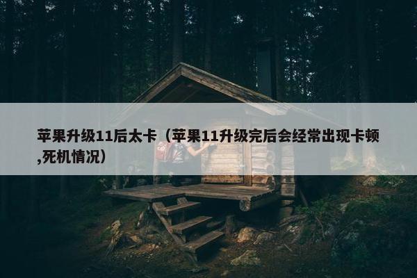苹果升级11后太卡（苹果11升级完后会经常出现卡顿,死机情况）