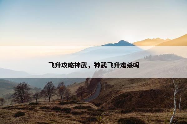 飞升攻略神武，神武飞升难杀吗