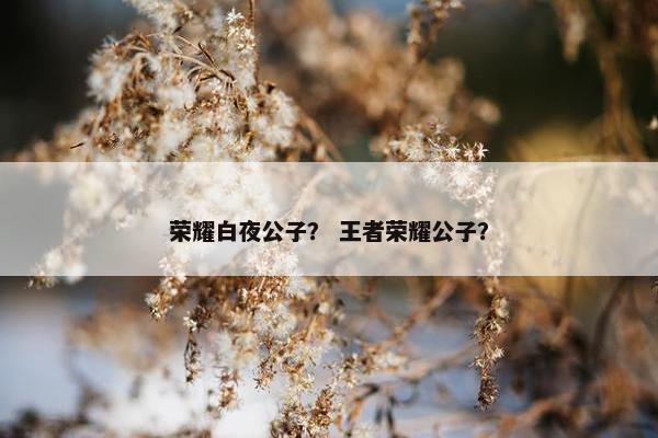 荣耀白夜公子？ 王者荣耀公子？