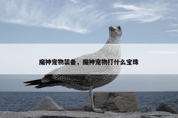魔神宠物装备，魔神宠物打什么宝珠