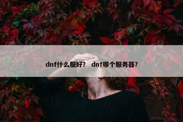 dnf什么服好？ dnf哪个服务器？