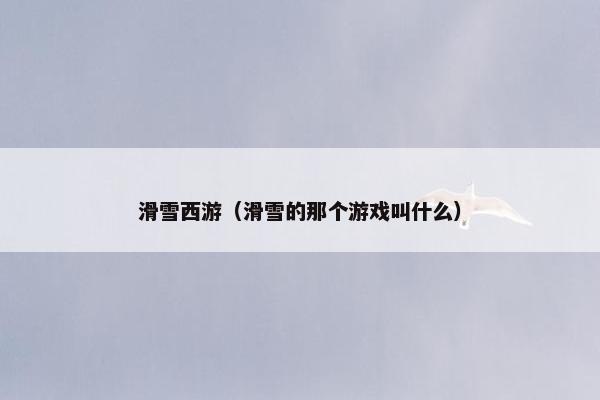 滑雪西游（滑雪的那个游戏叫什么）