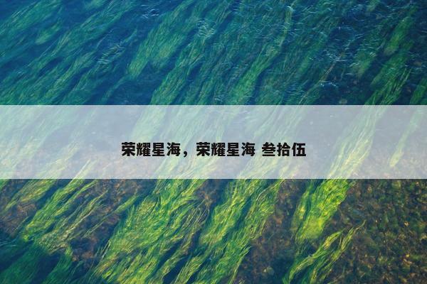 荣耀星海，荣耀星海 叁拾伍
