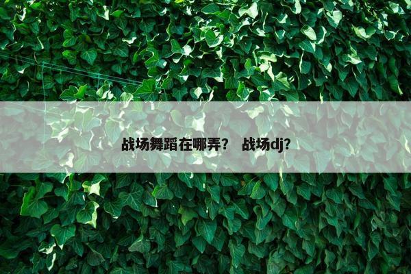 战场舞蹈在哪弄？ 战场dj？