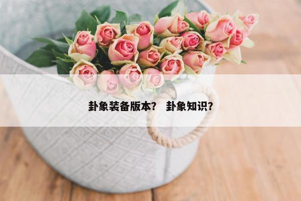 卦象装备版本？ 卦象知识？
