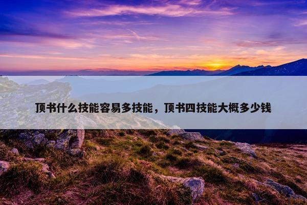 顶书什么技能容易多技能，顶书四技能大概多少钱