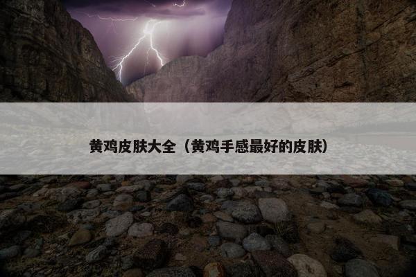黄鸡皮肤大全（黄鸡手感最好的皮肤）