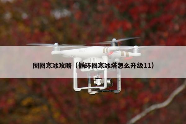 圈圈寒冰攻略（循环圈寒冰塔怎么升级11）