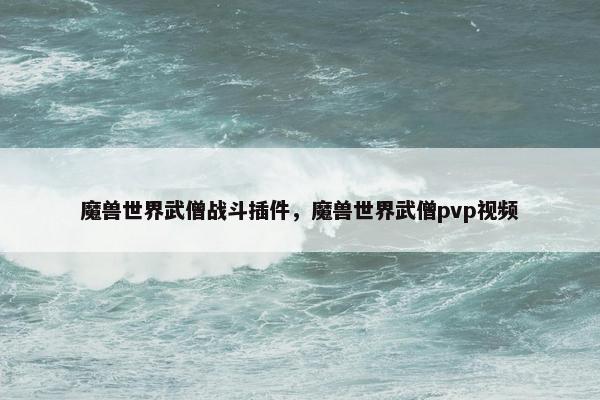 魔兽世界武僧战斗插件，魔兽世界武僧pvp视频