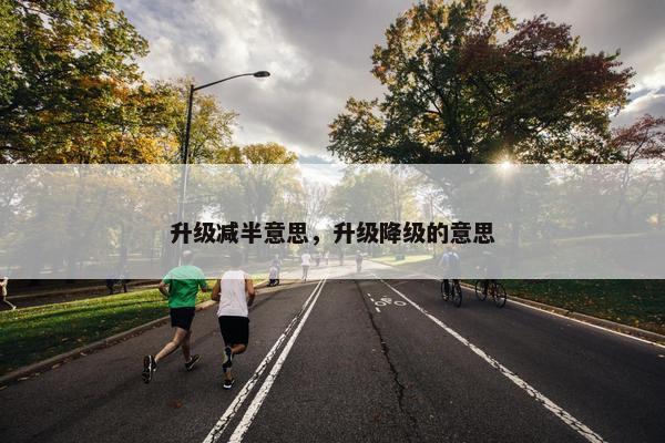 升级减半意思，升级降级的意思
