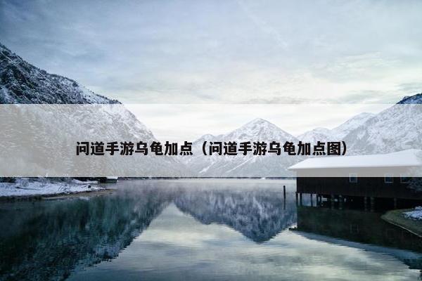 问道手游乌龟加点（问道手游乌龟加点图）