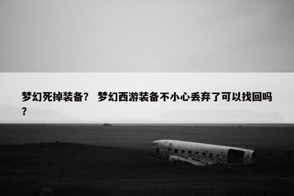 梦幻死掉装备？ 梦幻西游装备不小心丢弃了可以找回吗？