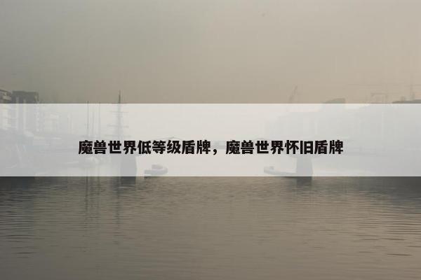 魔兽世界低等级盾牌，魔兽世界怀旧盾牌