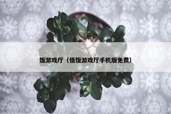 饭游戏厅（悟饭游戏厅手机版免费）