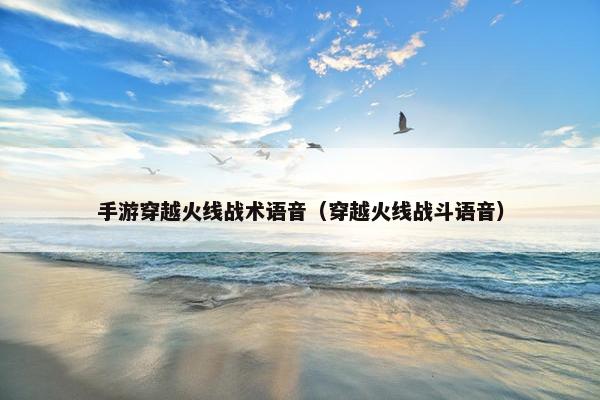 手游穿越火线战术语音（穿越火线战斗语音）