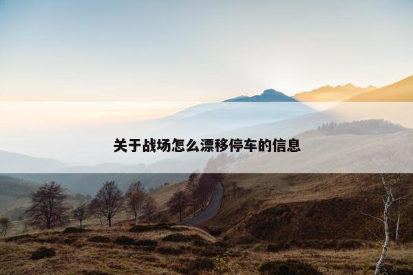 关于战场怎么漂移停车的信息