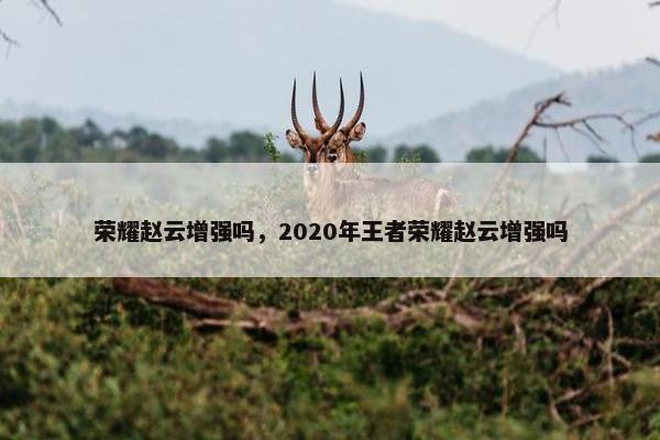 荣耀赵云增强吗，2020年王者荣耀赵云增强吗