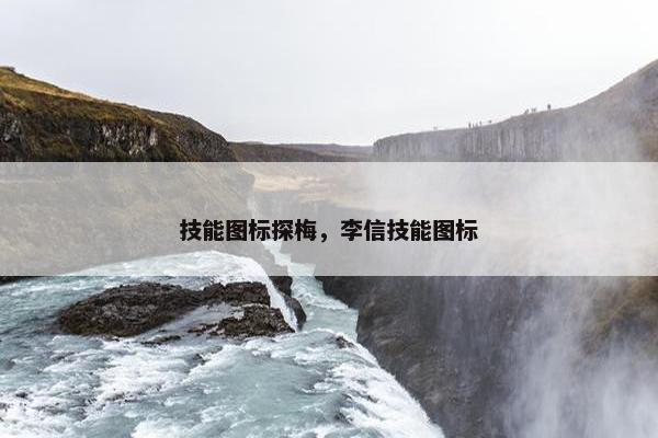 技能图标探梅，李信技能图标