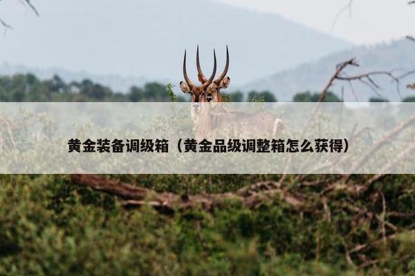 黄金装备调级箱（黄金品级调整箱怎么获得）
