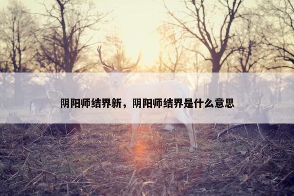 阴阳师结界新，阴阳师结界是什么意思
