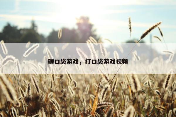 砸口袋游戏，打口袋游戏视频