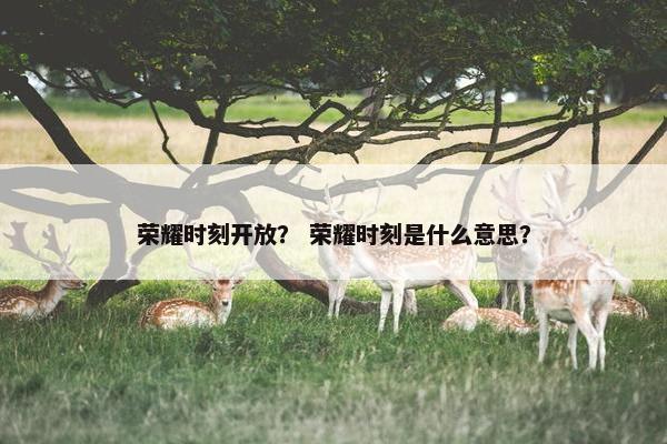 荣耀时刻开放？ 荣耀时刻是什么意思？