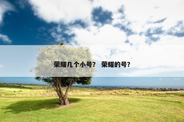 荣耀几个小号？ 荣耀的号？