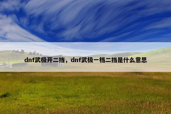 dnf武极开二挡，dnf武极一档二挡是什么意思