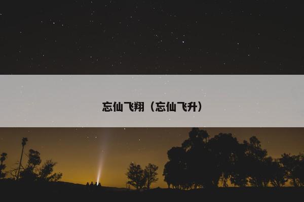 忘仙飞翔（忘仙飞升）