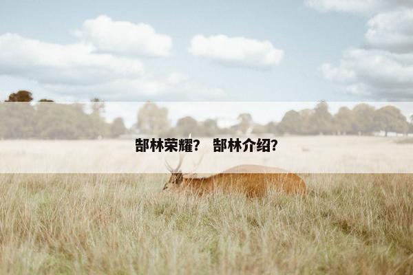 郜林荣耀？ 郜林介绍？