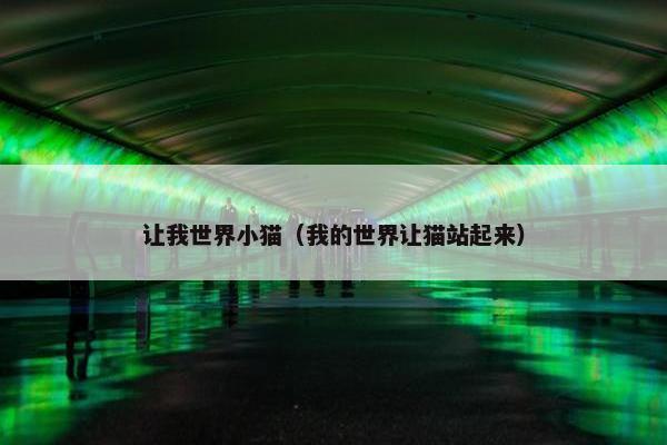 让我世界小猫（我的世界让猫站起来）