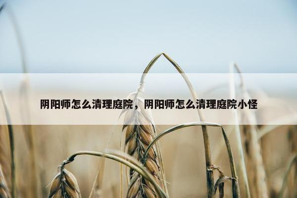 阴阳师怎么清理庭院，阴阳师怎么清理庭院小怪