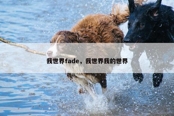 我世界fade，我世界我的世界