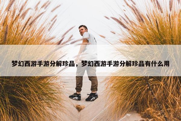 梦幻西游手游分解珍品，梦幻西游手游分解珍品有什么用