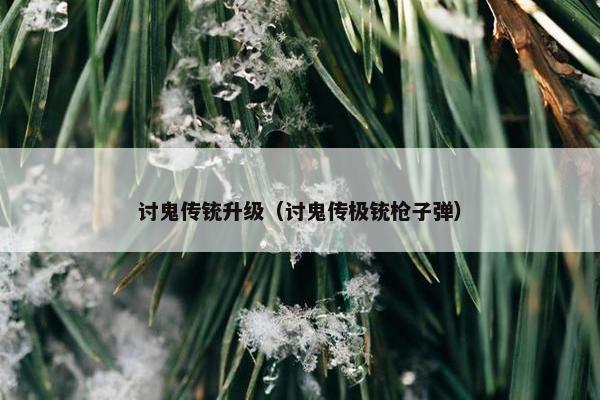 讨鬼传铳升级（讨鬼传极铳枪子弹）