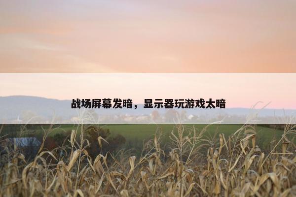 战场屏幕发暗，显示器玩游戏太暗