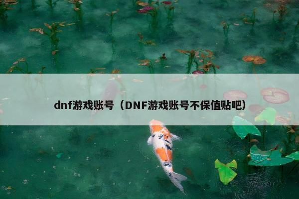 dnf游戏账号（DNF游戏账号不保值贴吧）