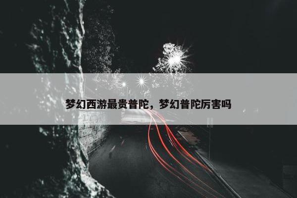 梦幻西游最贵普陀，梦幻普陀厉害吗