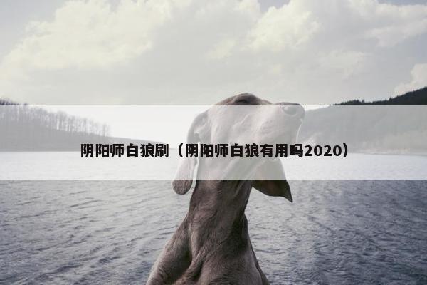 阴阳师白狼刷（阴阳师白狼有用吗2020）