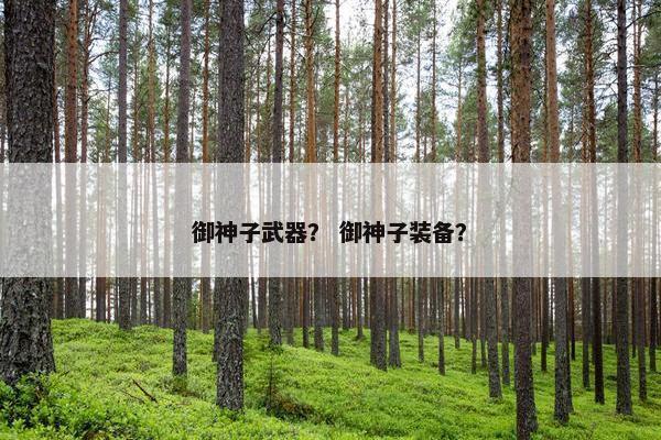 御神子武器？ 御神子装备？